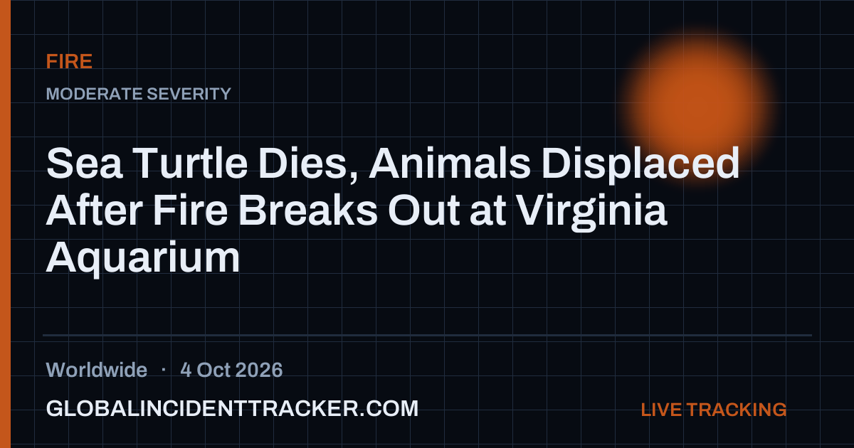 Sea Turtle Dies, Animals Displaced After Fire Breaks Out at Virginia ...