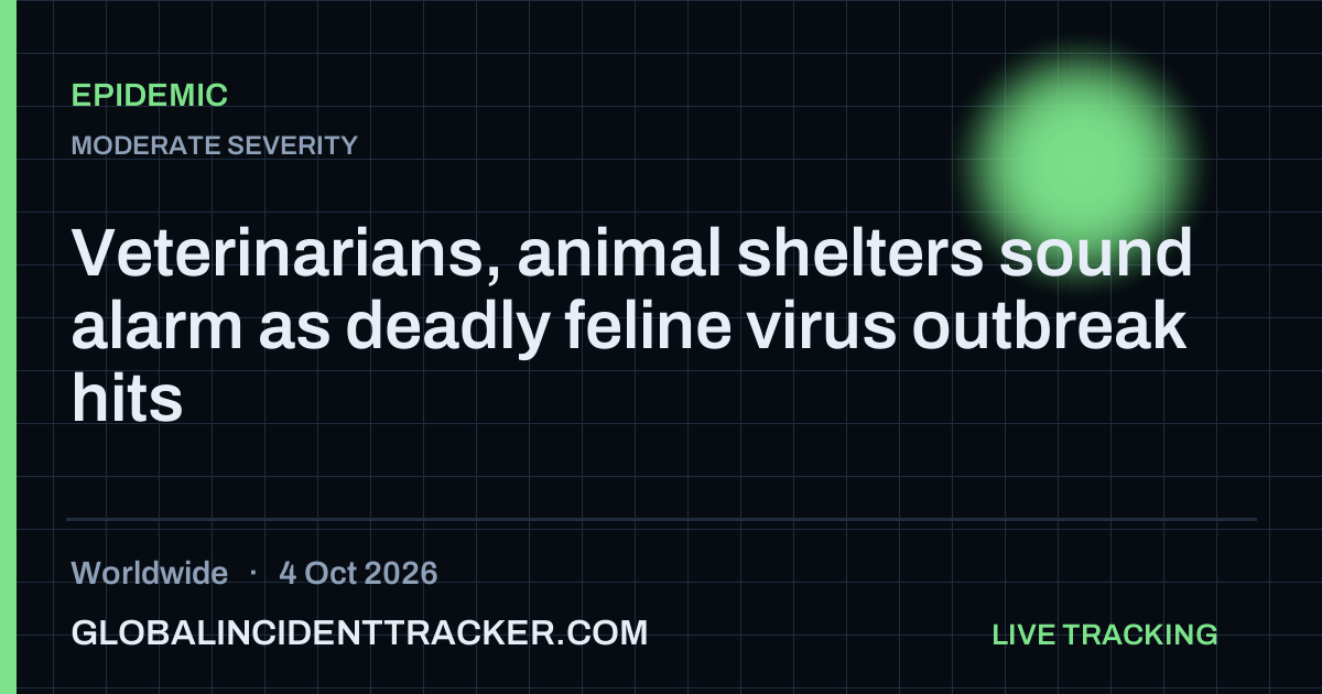 Veterinarians, animal shelters sound alarm as deadly feline virus ...
